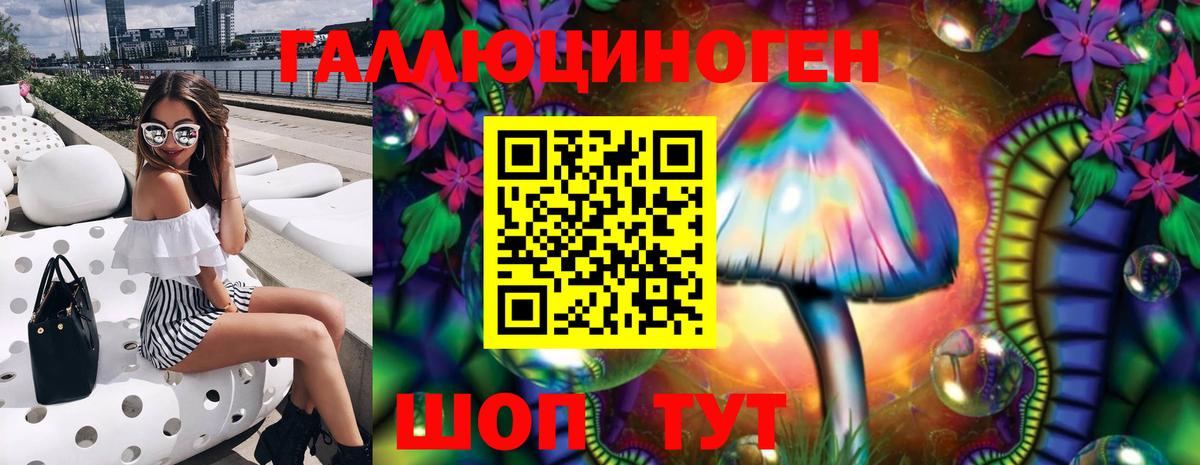 Краснокаменск  Псилоцибиновые грибы Psilocybe  Галлюциногенные грибы мицелий  Вход с VPN 