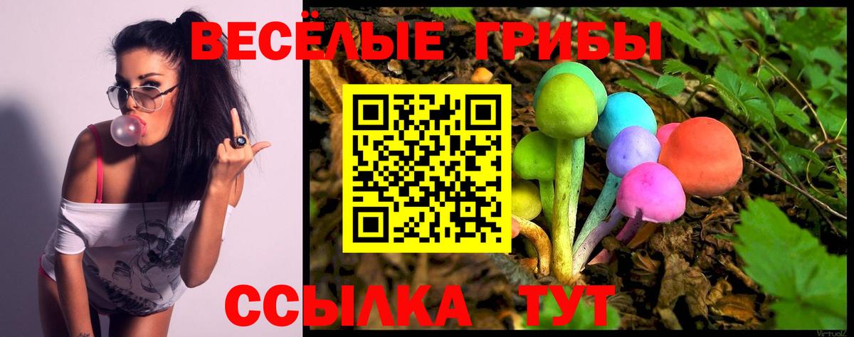 Галлюциногенные грибы Cubensis Краснокаменск
